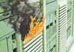 Protect Your Server Room from Environmental Threats