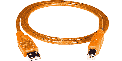 USB A Male-B Male, 2 meters, Tangarine