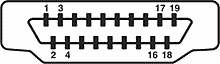 Mating face of HDMI Type-A HDMI